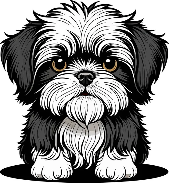 Güzel Sevimli Shih Tzu Köpek Yavrusu Sanatı Vektör Illüstrasyonu — Stok Vektör
