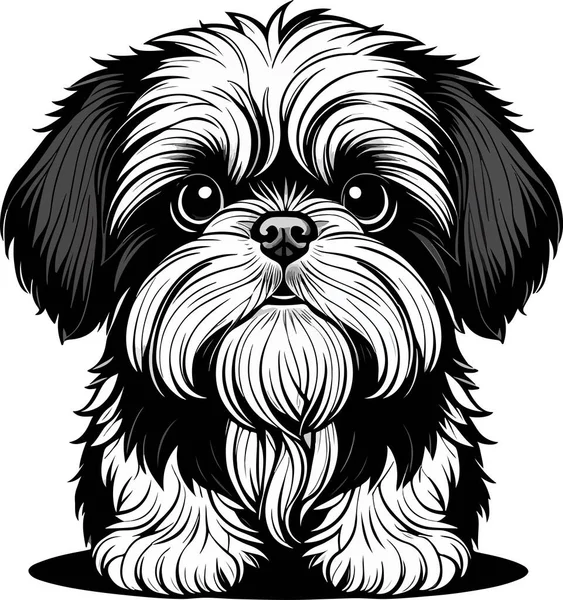Excelente Encantador Arte Cachorro Shih Tzu Ilustración Vectorial — Vector de stock