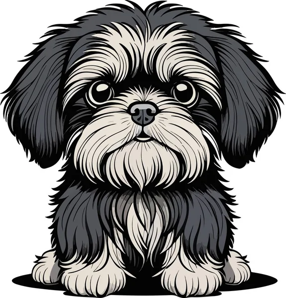 信じられないほど美しいシシュトゥーの子犬アート ベクトルイラスト — ストックベクタ