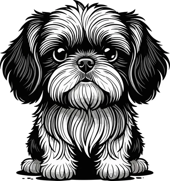 Super Encantador Arte Cachorro Shih Tzu Ilustración Vectorial — Vector de stock