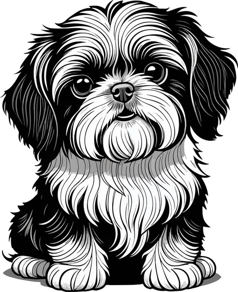 Fantástico Encantador Shih Tzu Arte Cachorro Ilustração Vetorial — Vetor de Stock