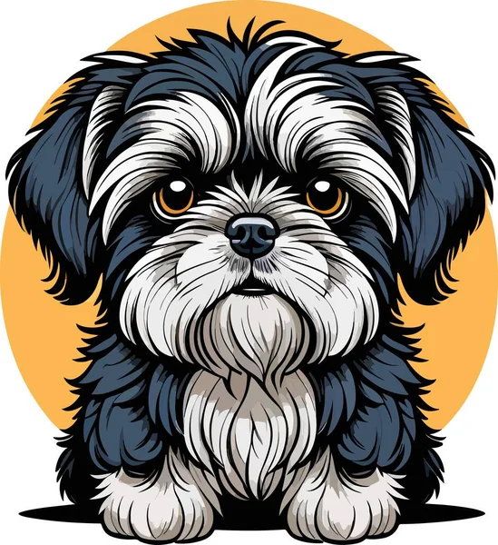 Extraordinary Lovely Shih Tzu Puppy Art Vector Illustration — Stock Vector