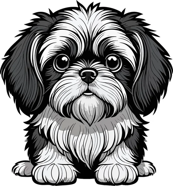 Harika Sevimli Shih Tzu Köpek Yavrusu Sanatı Vektör Illüstrasyonu — Stok Vektör
