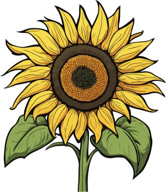 Nefes kesici ve güzel ayçiçeği bahar yaz sanatı. Vektör illüstrasyonu