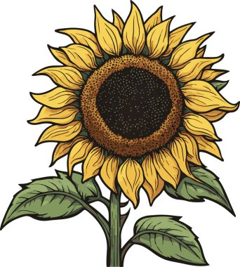 Olağanüstü ve güzel ayçiçeği bahar yaz sanatı. Vektör illüstrasyonu