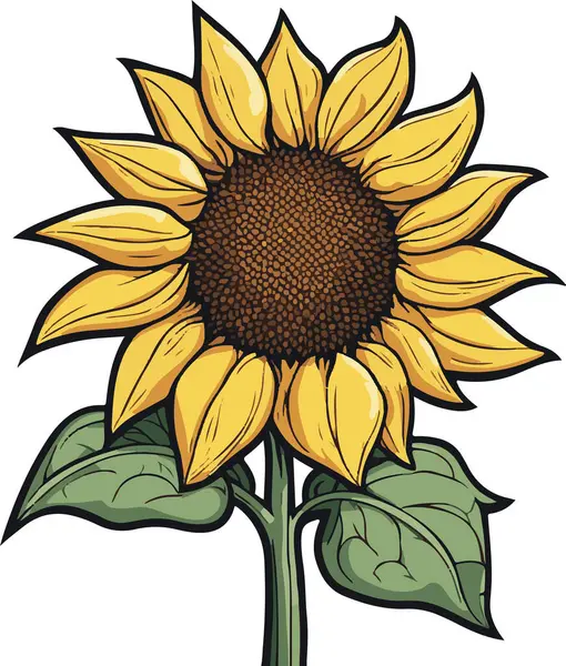 Beautiful Lovely Sunflower Spring Summer Art Vector Illustration — Stock Vector