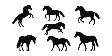 Beyaz Arkaplanda Vector Pack Farklı At Siluetleri. Vektör illüstrasyonu