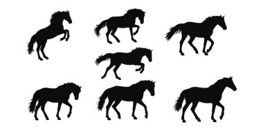 Beyaz Arkaplanda Vector Pack Farklı At Siluetleri. Vektör illüstrasyonu