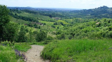 Montevecchia Piramitleri ve Curone Vadisi Doğal Parkı. Kuzey İtalya 'nın Brianza bölgesi. Lombardiya ve Lecchese bölgelerinin ormanı. Bitkilerle dolu yeşil tepeler.