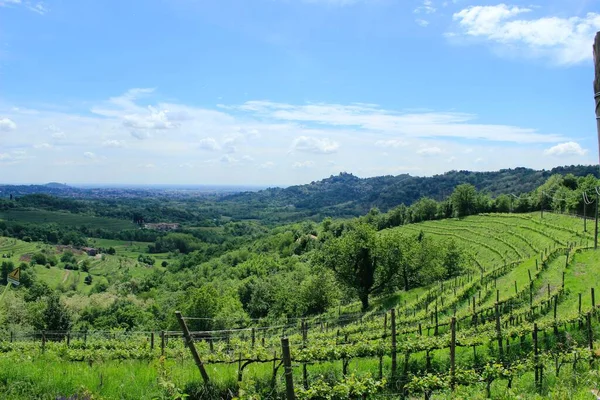 Vignobles Dans Les Collines Italiennes Luxuriantes Printemps Bois Forêts Baignés — Photo