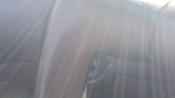 Mão Livre Sair Pela Janela Carro Interior Cheio Luz Liberdade — Vídeo de Stock