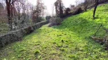 Baharda çiçek bahçesinde yürüyorum. Eski bir İtalyan villasının parkı. Sarı çiçekli çuha çiçekleri, koyu yeşil çimenler..