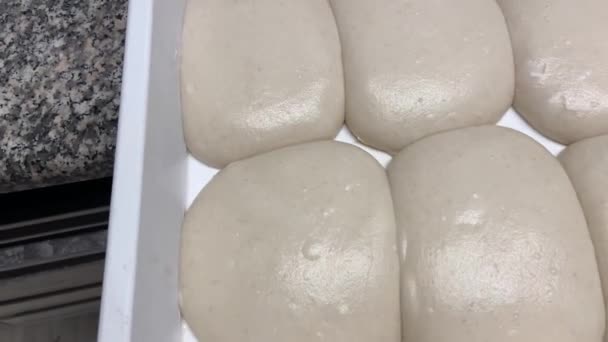 有新鲜面团的白色碗 已经升级成完美了 披萨柜台概览 具有高水合物的那不勒斯披萨 专业面团的最佳发酵 — 图库视频影像
