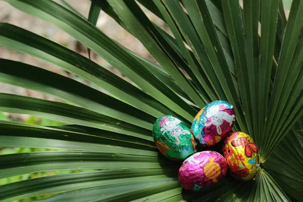 Palm Sunday dinner. Colored and chocolate easter eggs. Catholic religious holiday. Wallpapers and bachground.