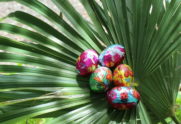 Palm Sunday dinner. Colored and chocolate easter eggs. Catholic religious holiday. Wallpapers and bachground.