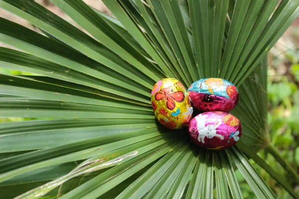 Palm Sunday and Easter. Chocolate eggs and palm leaves. Chocolates with rabbit designs.