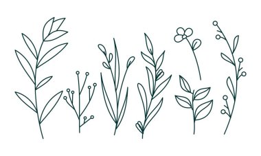 Çiçek süslemeli element paket vektörü