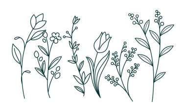 Çiçek süslemeli element paket vektörü