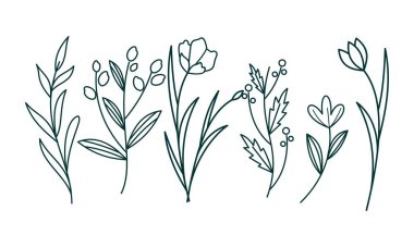 Çiçek süslemeli element paket vektörü