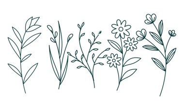 Çiçek süslemeli element paket vektörü