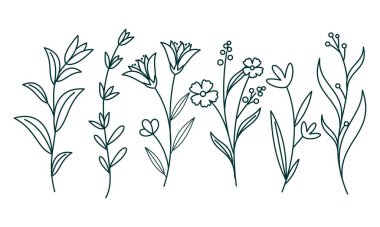 Çiçek süslemeli element paket vektörü