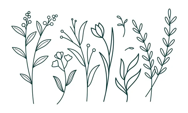 Élément Ornemental Floral Pack Vecteur — Image vectorielle