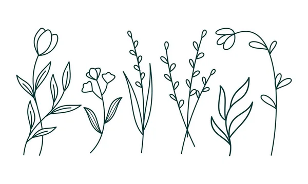 Élément Ornemental Floral Pack Vecteur — Image vectorielle