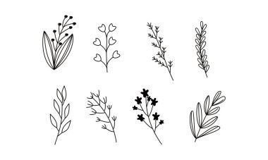 Çiçek süslemeli element paket vektörü