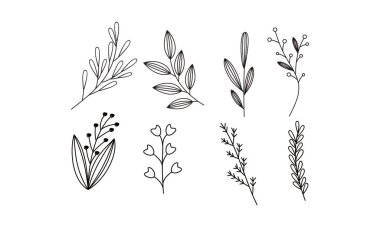 Çiçek süslemeli element paket vektörü