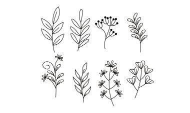 Çiçek süslemeli element paket vektörü