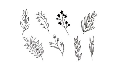 Çiçek süslemeli element paket vektörü