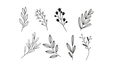 Çiçek süslemeli element paket vektörü