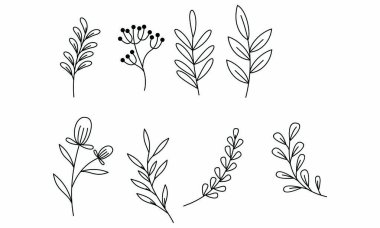 Çiçek süslemeli element paket vektörü