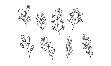 Çiçek süslemeli element paket vektörü