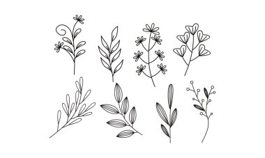 Çiçek süslemeli element paket vektörü