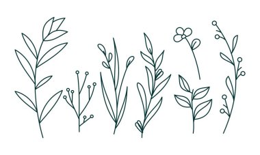 Çiçek süslemeli element paket vektörü