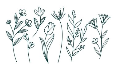 Çiçek süslemeli element paket vektörü