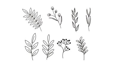 Çiçek süslemeli element paket vektörü