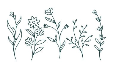 Çiçek süslemeli element paket vektörü