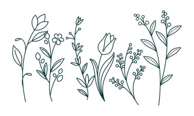 Çiçek süslemeli element paket vektörü