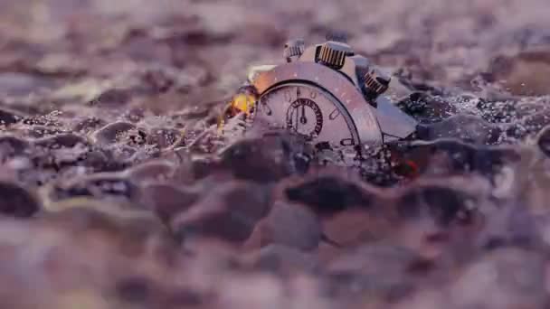 Wristwatches Rusting Ashore Sunset Life Concept Timelapse Water Simulation Cgi — Video Stock