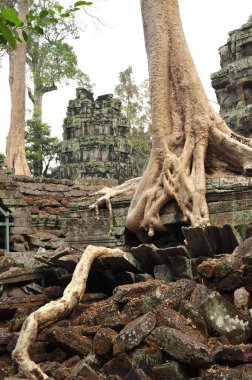 Angkor Wat tapınağının çarpıcı görüntüsü Siem Reap, Kamboçya 'da, görkemli ağaçlar ve dağınık taş bloklarla çevrili..