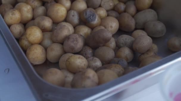 Beaucoup Pommes Terre Bouillies Beaucoup Gros Plans — Video