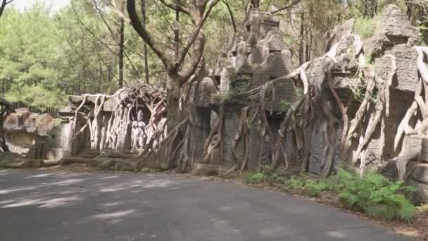 Esculturas Pared Largo Del Camino Del Zoológico — Vídeo de stock
