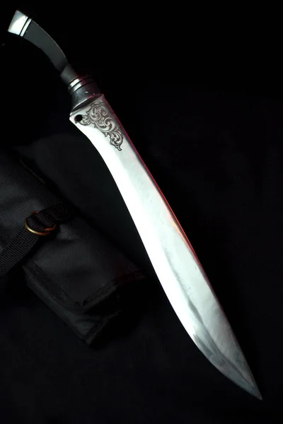 Kılıcı Kılıfı Çantası Olan Bir Kılıç — Stok fotoğraf