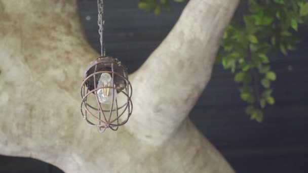Лампочка Цепи Деревом Позади — стоковое видео