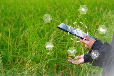 İnovatif Smart Farm System Technology, Tarım Yönetimi Mobil akıllı telefon, akıllı teknoloji konsepti ile, çalışmak için veri depolamak.