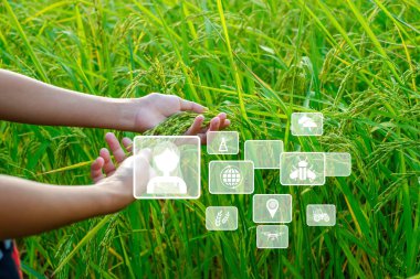İnovatif Smart Farm System Technology, Tarım Yönetimi Mobil akıllı telefon, akıllı teknoloji konsepti ile, çalışmak için veri depolamak.