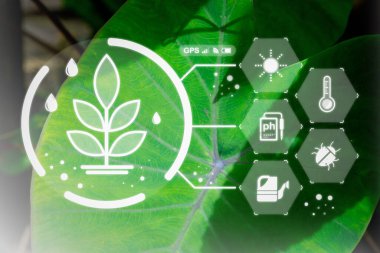 Grafik kavramları olan tarım modern tarım teknolojisi, dijital tarım, akıllı tarım yeniliği.