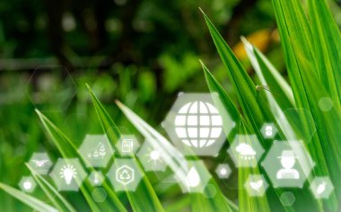 Grafik kavramları olan tarım modern tarım teknolojisi, dijital tarım, akıllı tarım yeniliği.